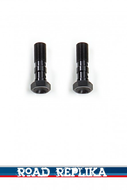 Double hollow screw M10x1 